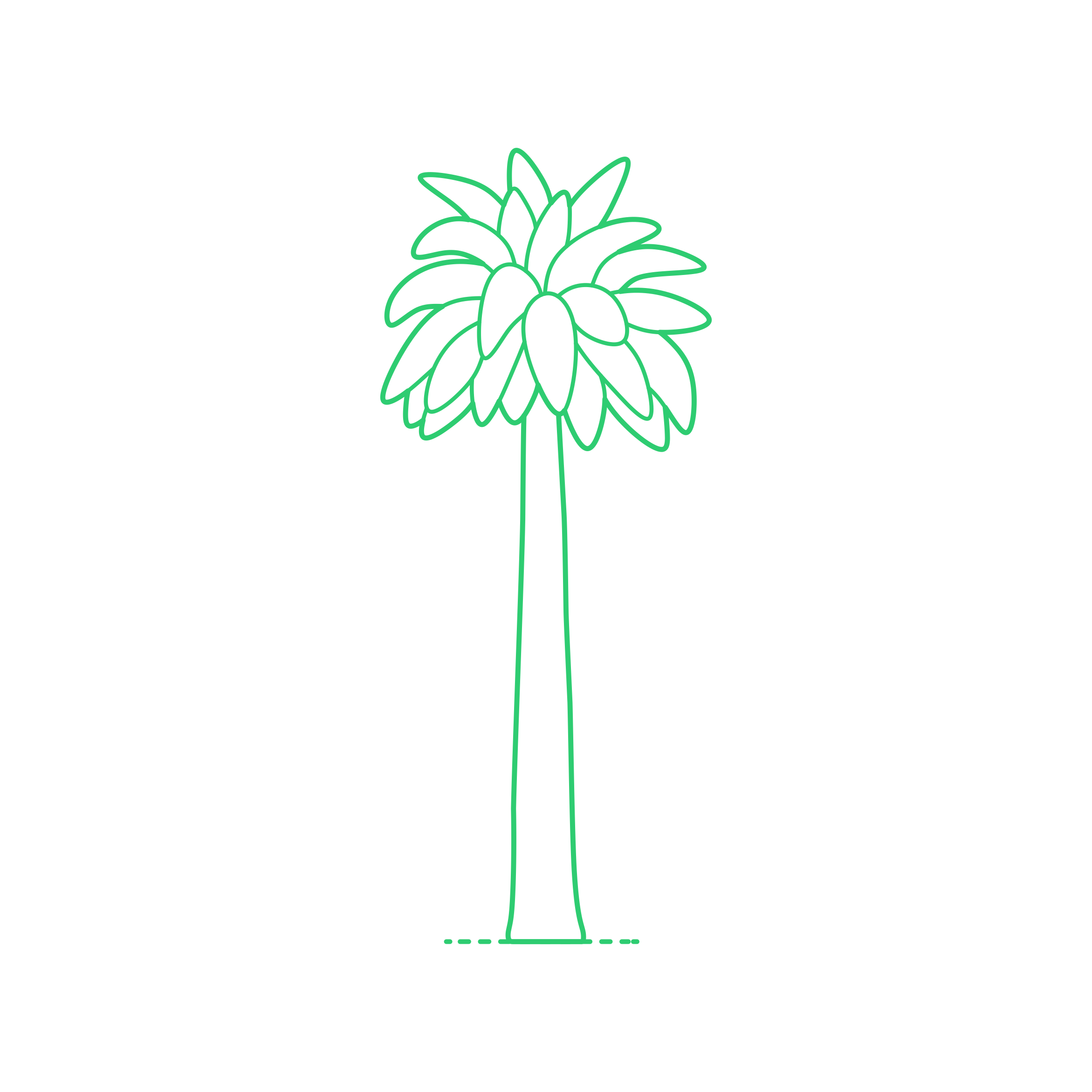 Plants Palms Chilean Wine Palm Laser Cut Svg File Free Vectors